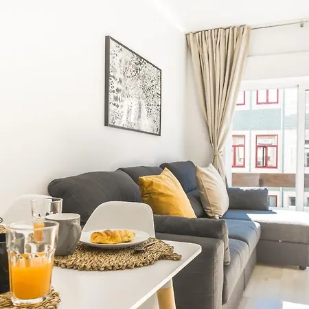 Santa Catarina Design By Homing *